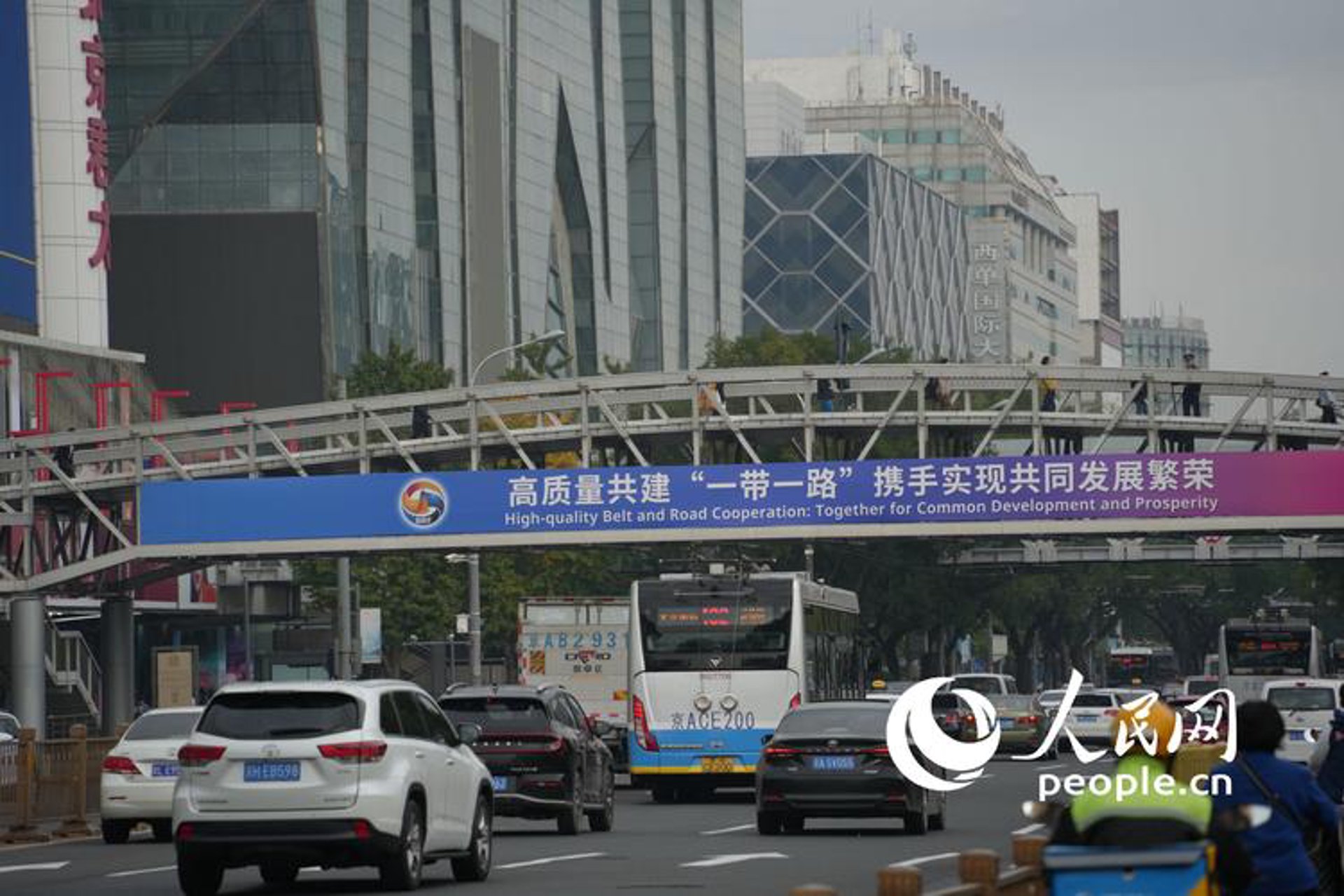 枝脉网络科技